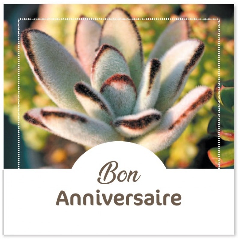 Cartes à Thème Anniversaire - Bon Anniversaire 