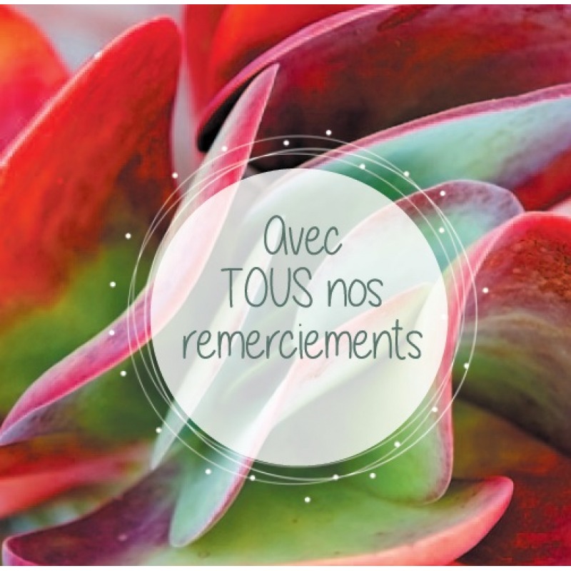 Cartes à Thème Remerciements - Avec tous nos remerciements