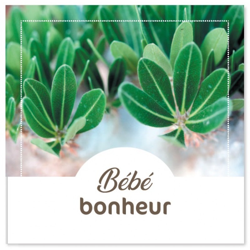 Cartes à Thème Naissance - Bébé bonheur