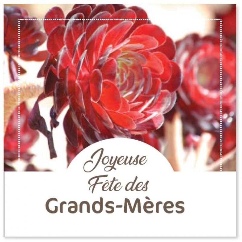 Cartes à Thème Bonne Fête Mamie - Joyeuse fête des grand-mère