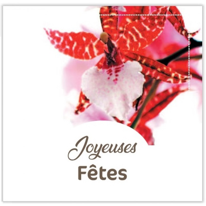 Cartes à Thème Fin d Année - Joyeuses Fêtes