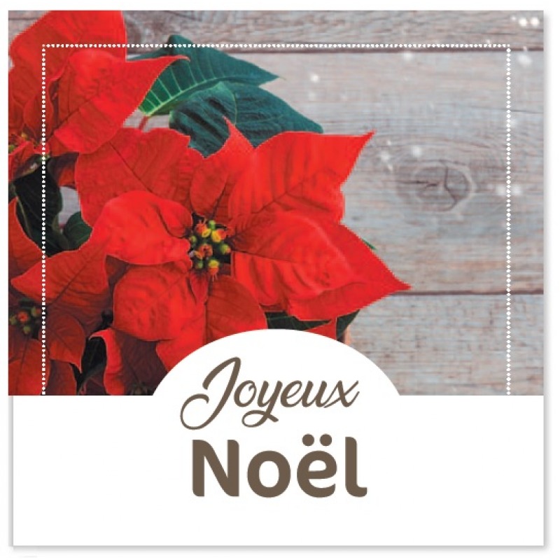 Cartes à Thème Fin d Année - Joyeux Noêl