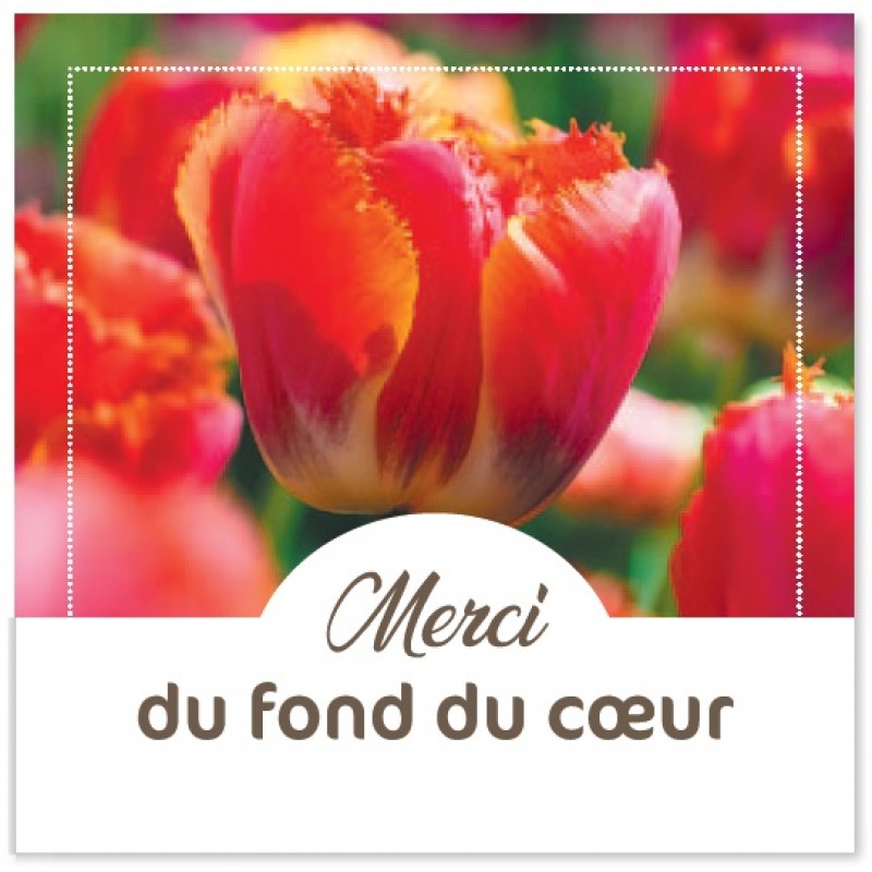 Cartes à Thème Remerciements - Merci du fond du Coeur