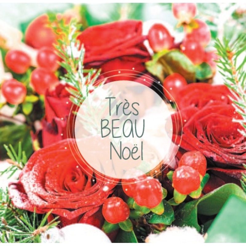 Cartes à Thème Fin d Année - Très Beau Noël