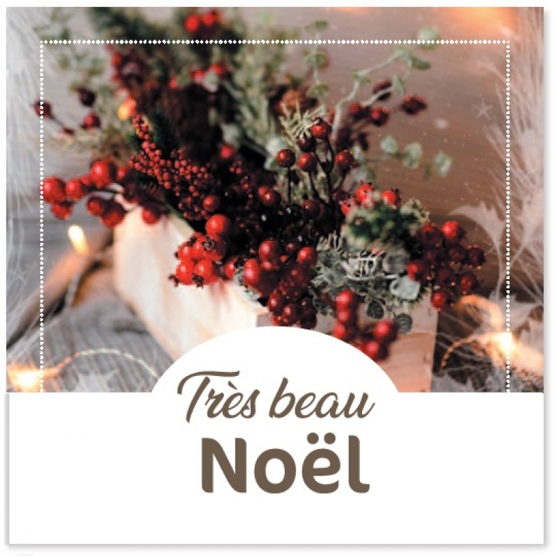 Cartes à Thème Fin d Année - Très Beau Noël