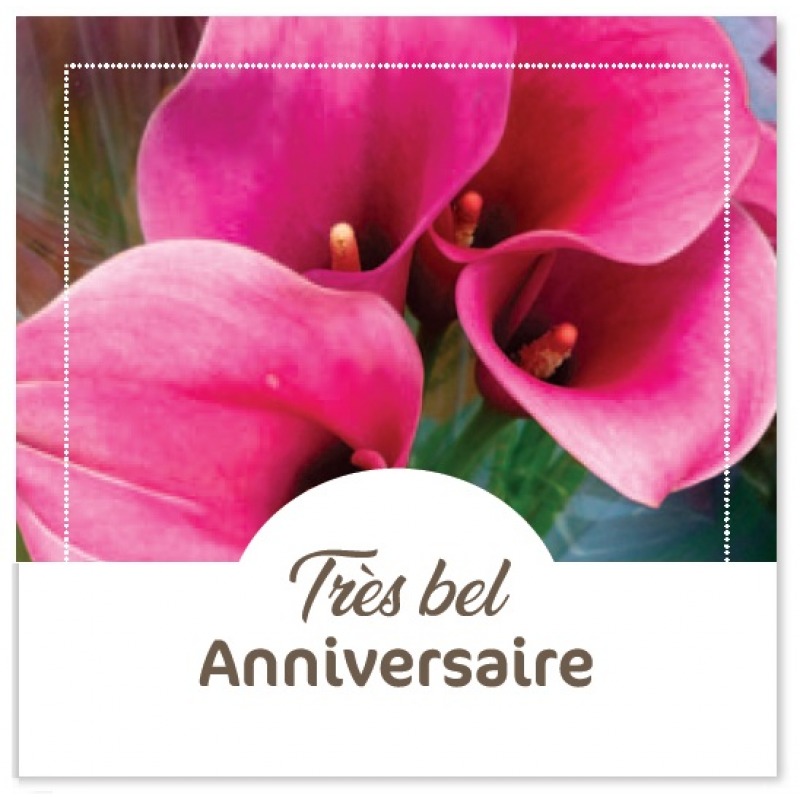 Cartes à Thème Anniversaire - Très bel Anniversaire