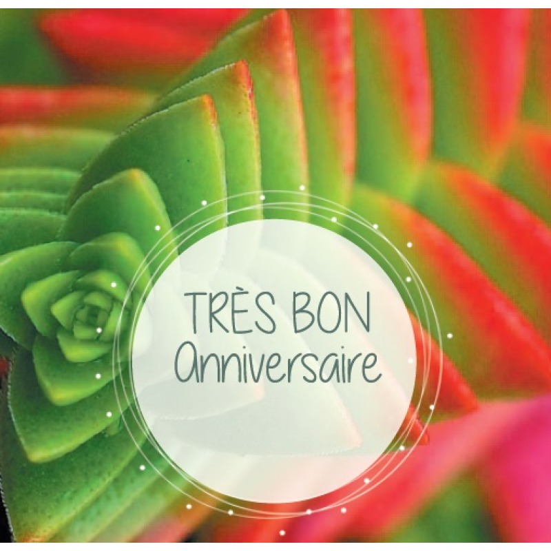 Cartes à Thème Anniversaire - Très bon Anniversaire